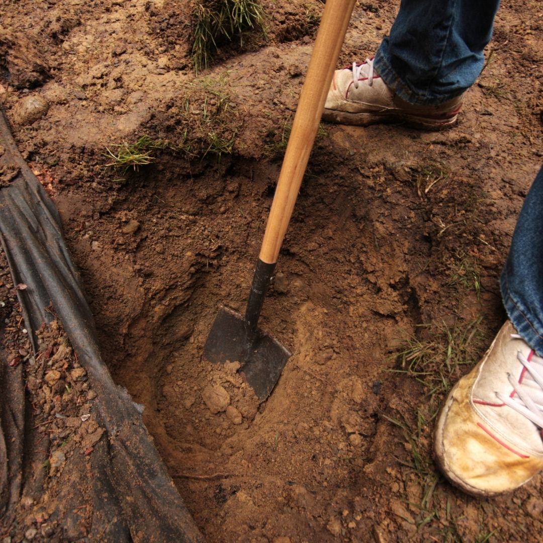 A man digging a hole in the ground with a shovel.
